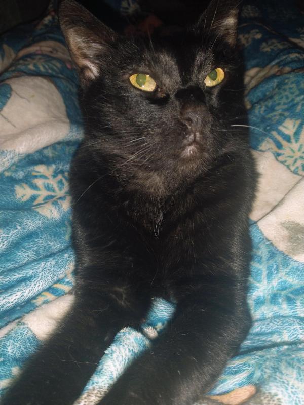 thebugster08 uploaded   207  day/s  ago