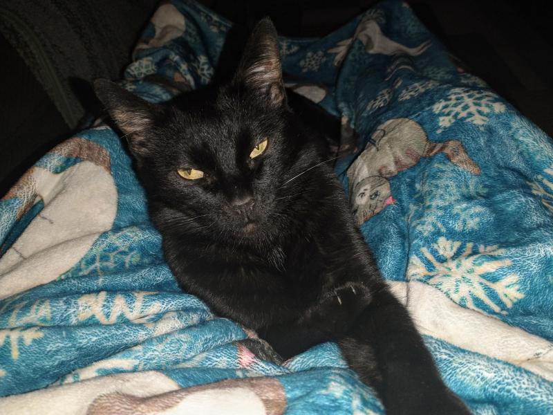 thebugster08 uploaded   229  day/s  ago