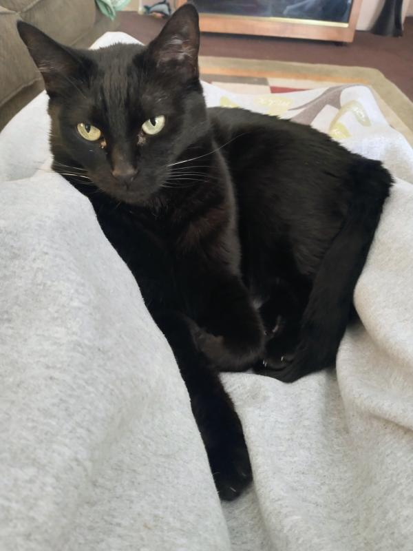 thebugster08 uploaded   45  day/s  ago