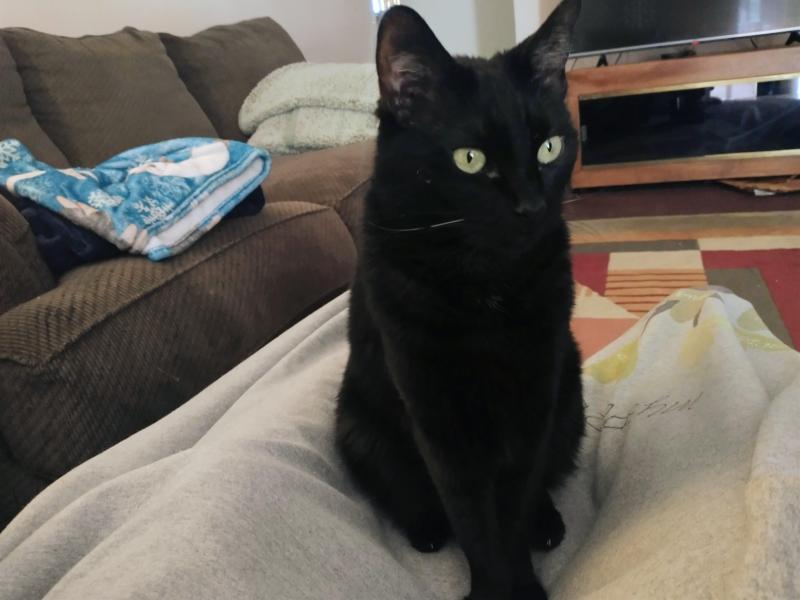 thebugster08 uploaded   13  day/s  ago