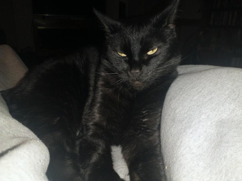 thebugster08 uploaded   3  day/s  ago