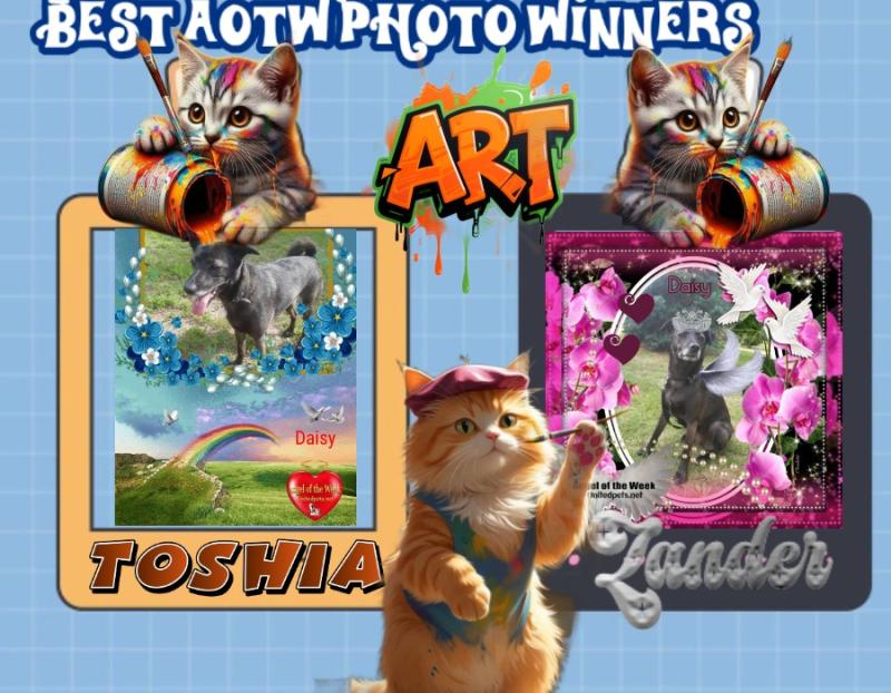 thebugster08 uploaded   53  day/s  ago