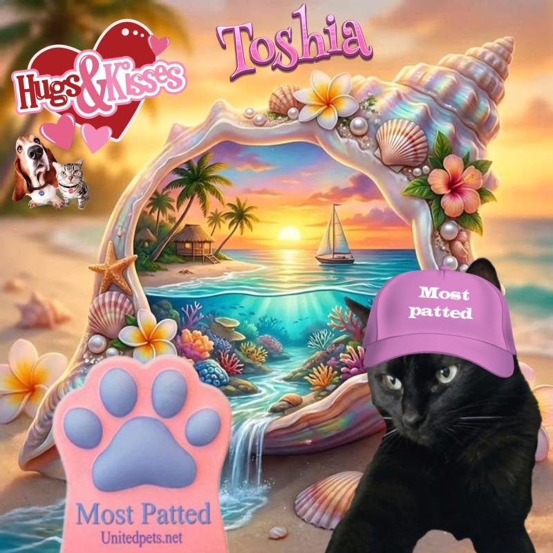 Toshia of the thebugster08 family