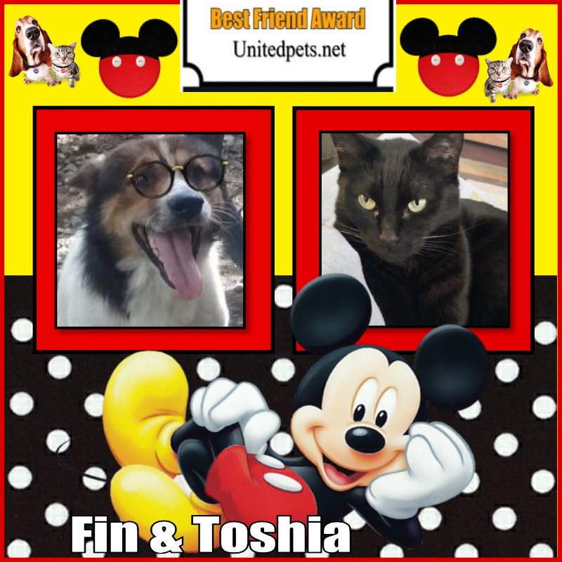 Toshia of the thebugster08 family