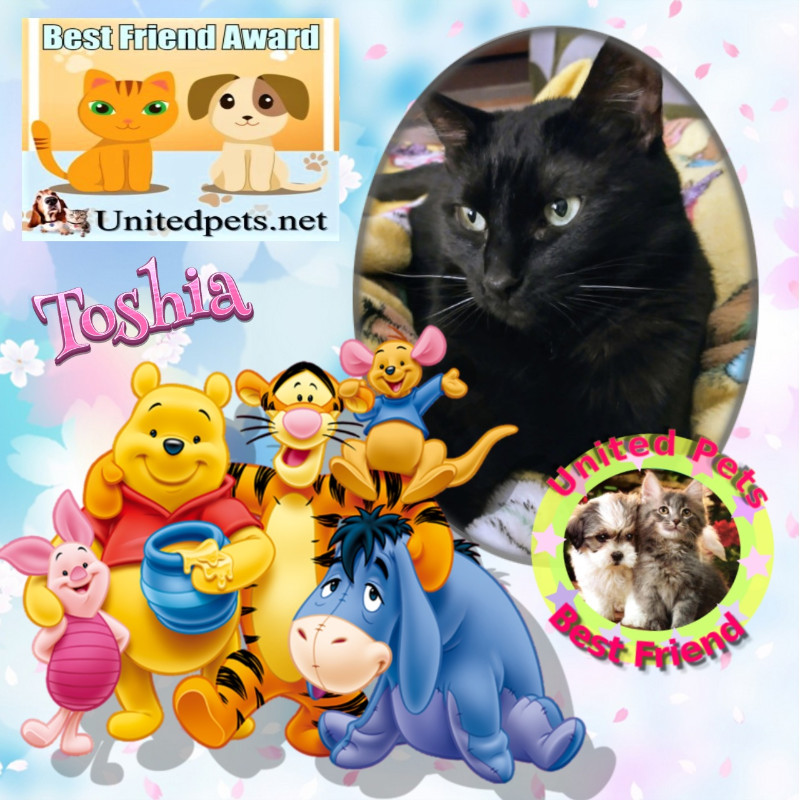 Toshia of the thebugster08 family
