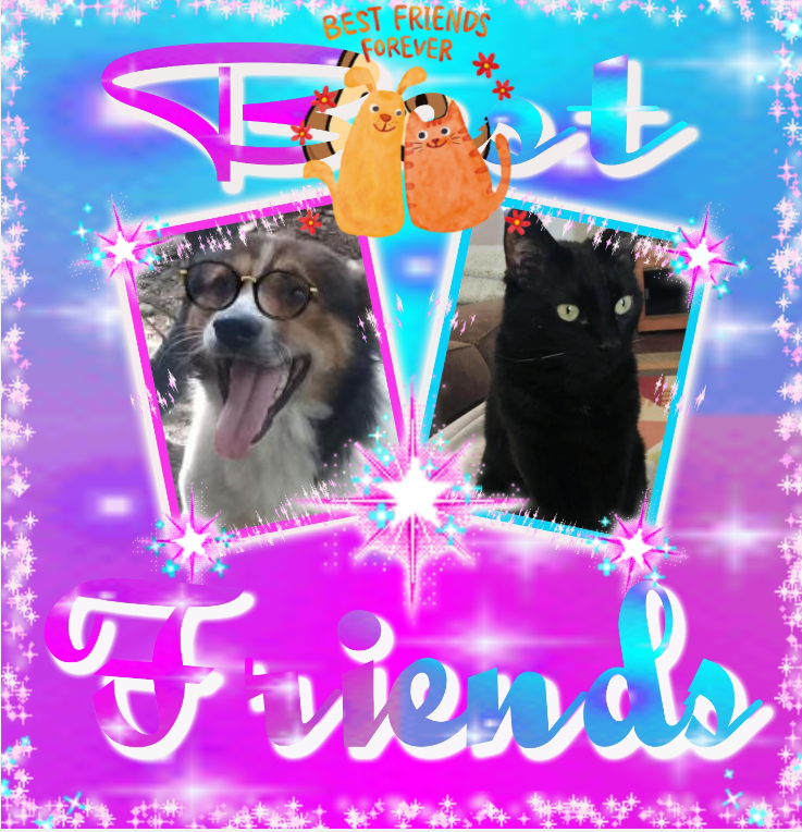 Toshia of the thebugster08 family