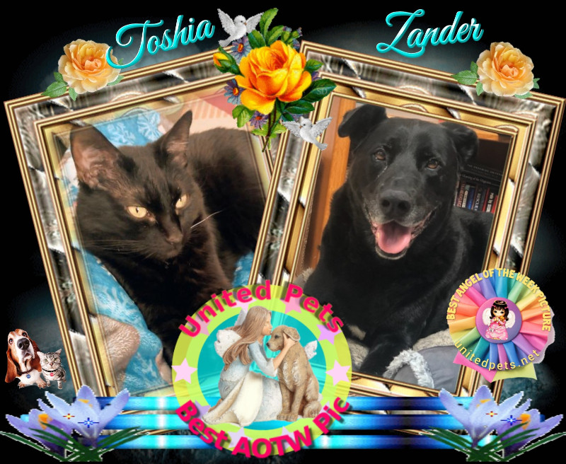 thebugster08 uploaded   53  day/s  ago