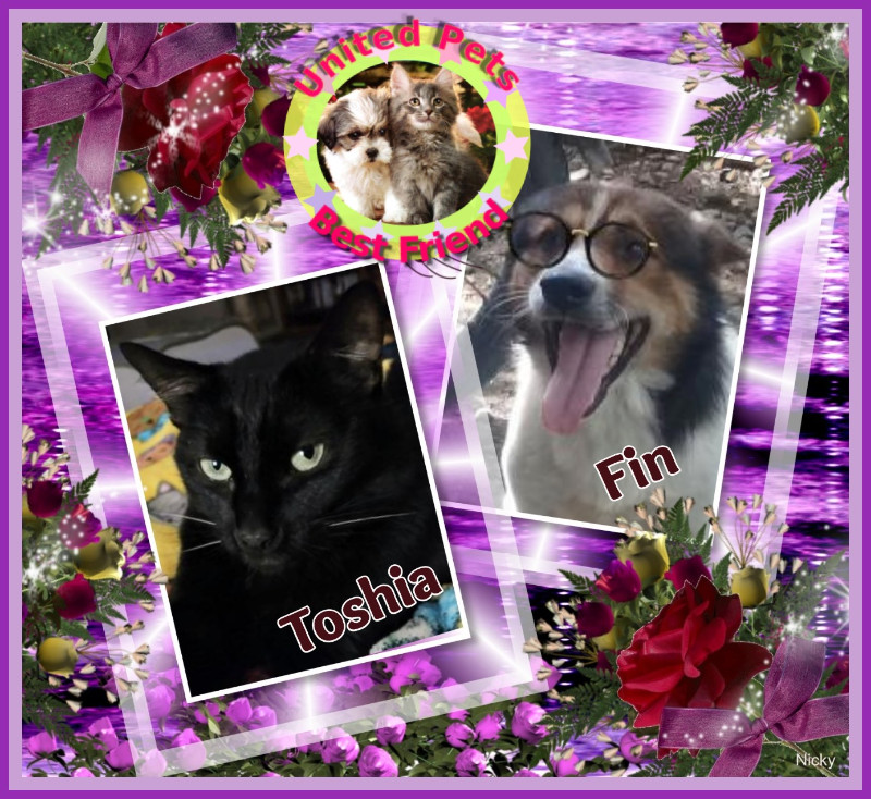 Toshia of the thebugster08 family