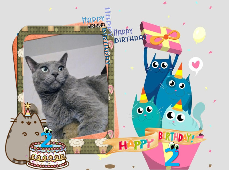 Logan of the thebugster08 family