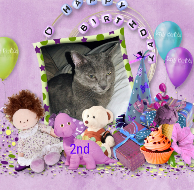 Logan of the thebugster08 family