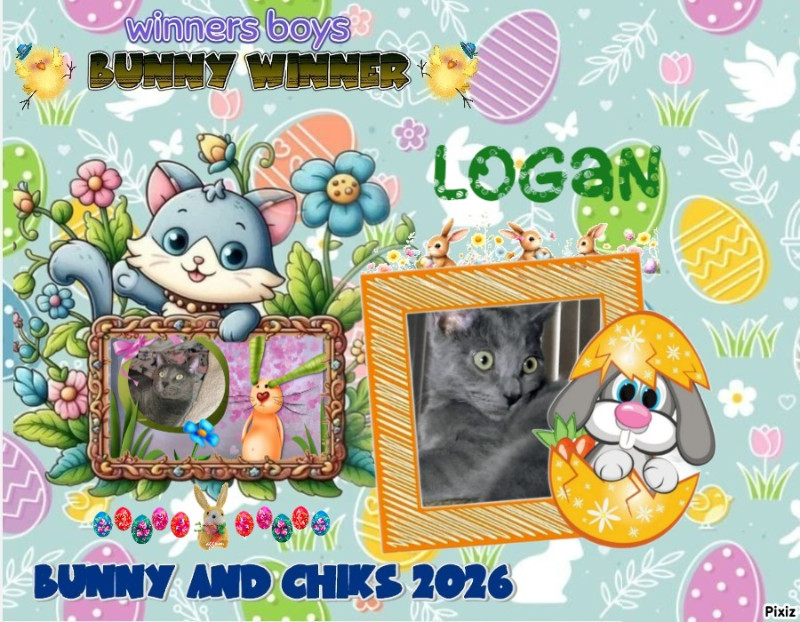 thebugster08 uploaded   25  min/s  ago