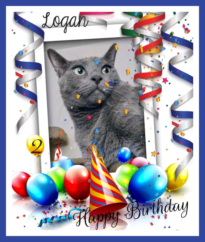 Logan of the thebugster08 family