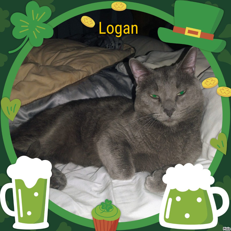 thebugster08 uploaded   57  day/s  ago