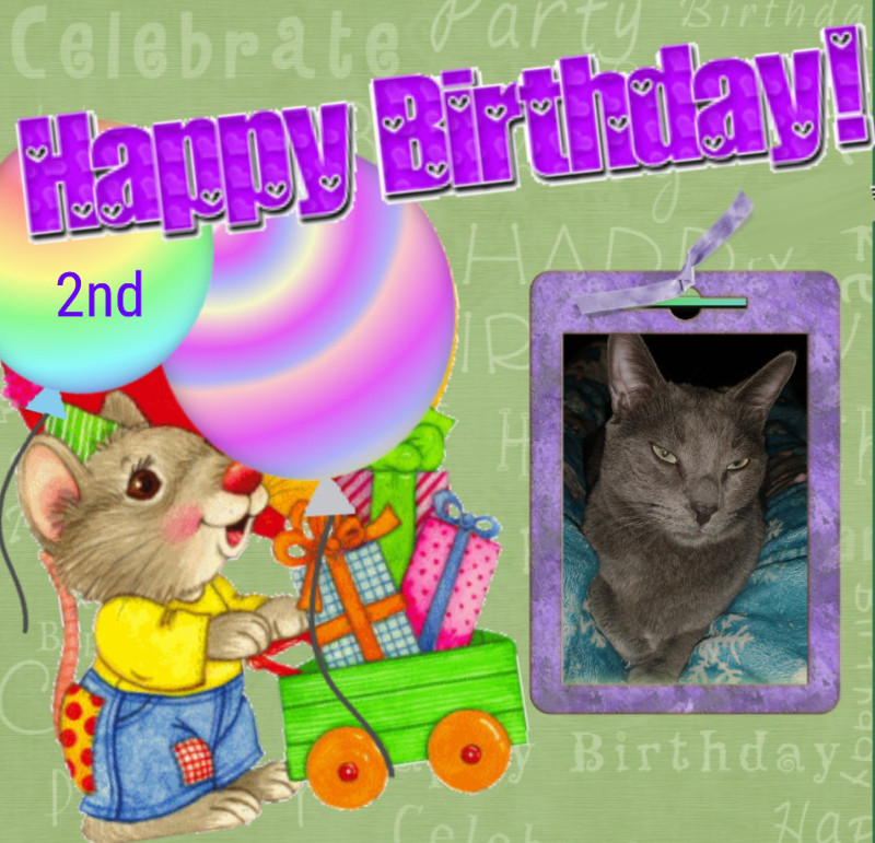 Logan of the thebugster08 family