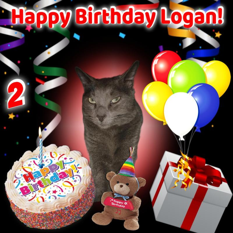 Logan of the thebugster08 family