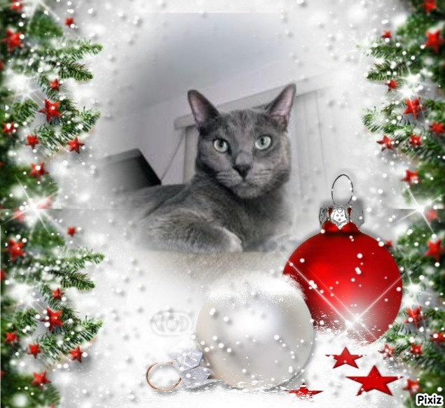 Logan of the thebugster08 family