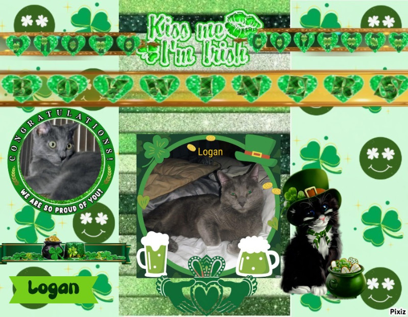 thebugster08 uploaded   30  day/s  ago