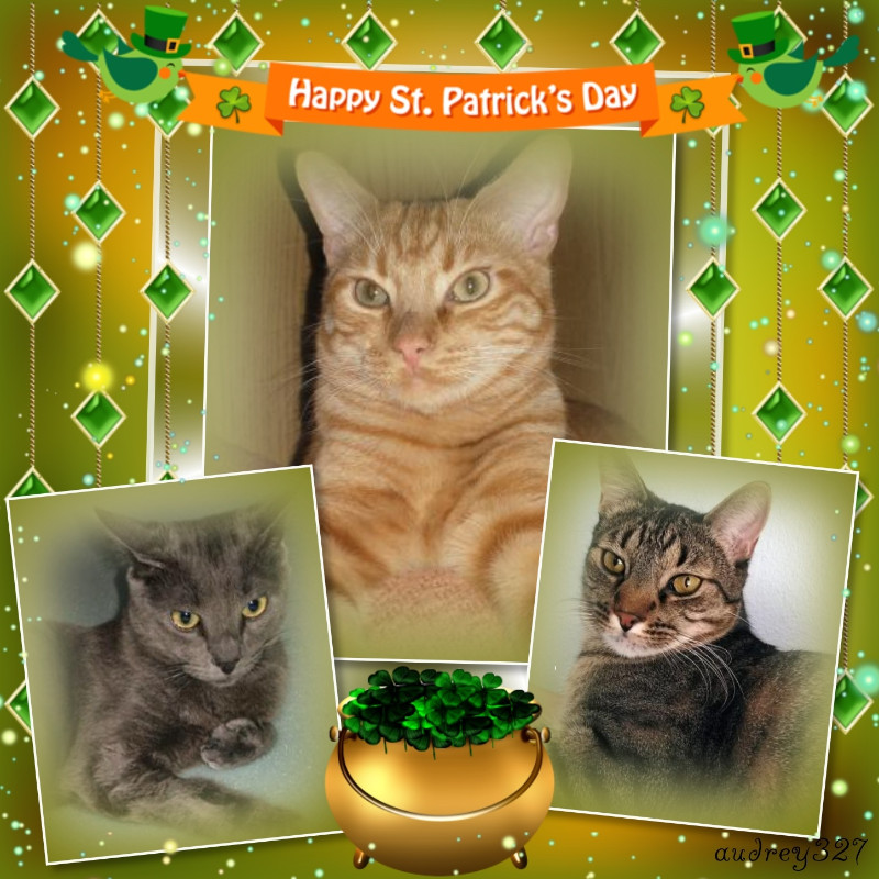 thebugster08 uploaded   30  day/s  ago