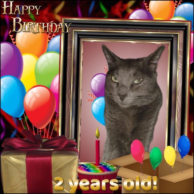 Logan of the thebugster08 family