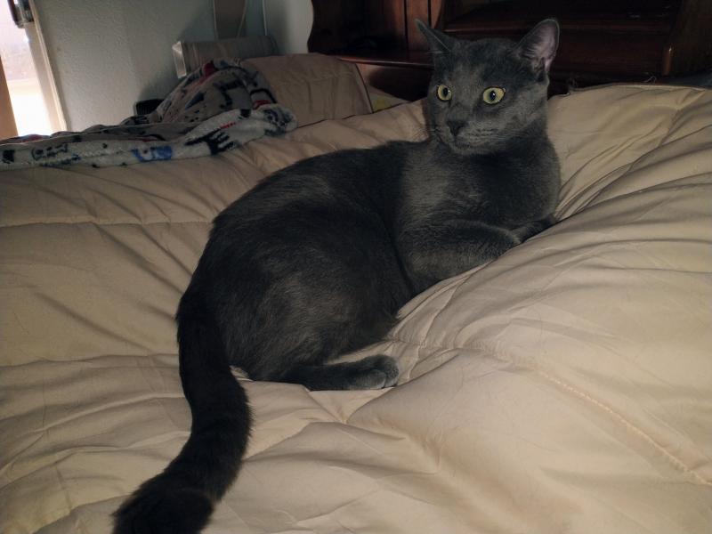 thebugster08 uploaded   200  day/s  ago