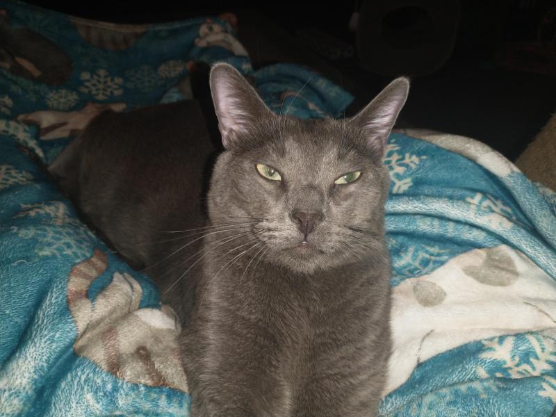 thebugster08 uploaded   157  day/s  ago