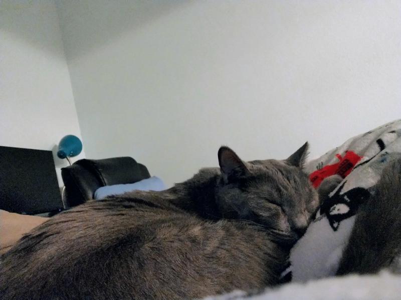 thebugster08 uploaded   143  day/s  ago