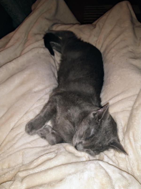 thebugster08 uploaded   1 year/s ago