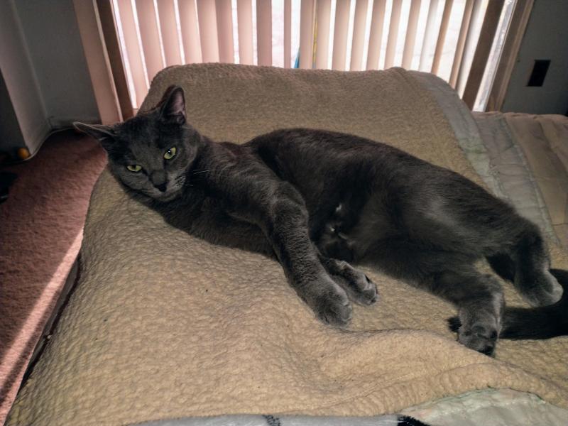 thebugster08 uploaded   1 year/s ago