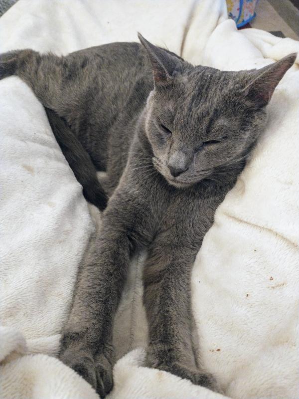 thebugster08 uploaded   1 year/s ago