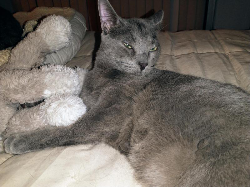 thebugster08 uploaded   1 year/s ago