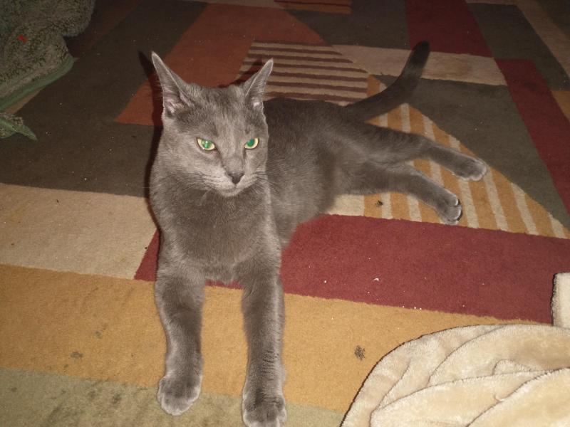 thebugster08 uploaded   1 year/s ago