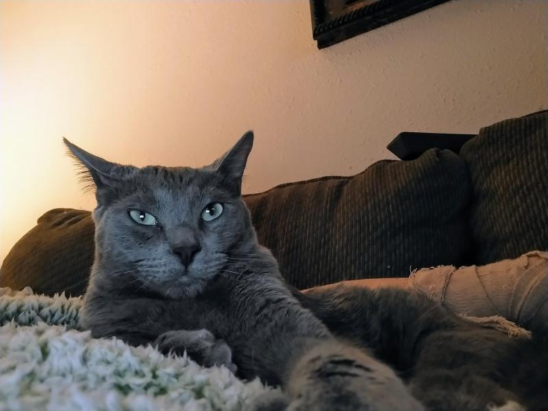 thebugster08 uploaded   1 year/s ago