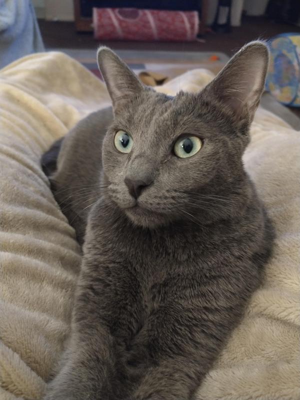 thebugster08 uploaded   1 year/s ago