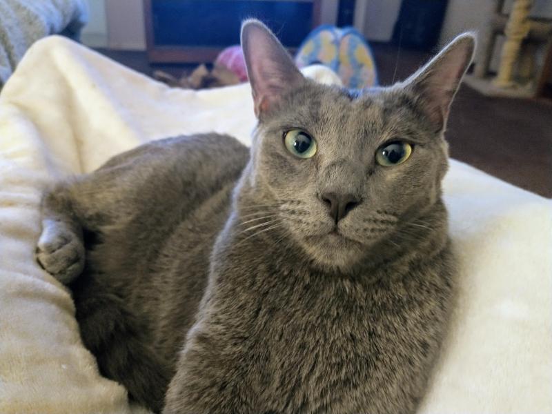 thebugster08 uploaded   1 year/s ago