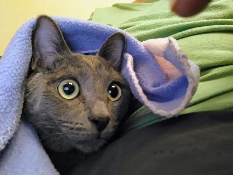 thebugster08 uploaded   1 year/s ago