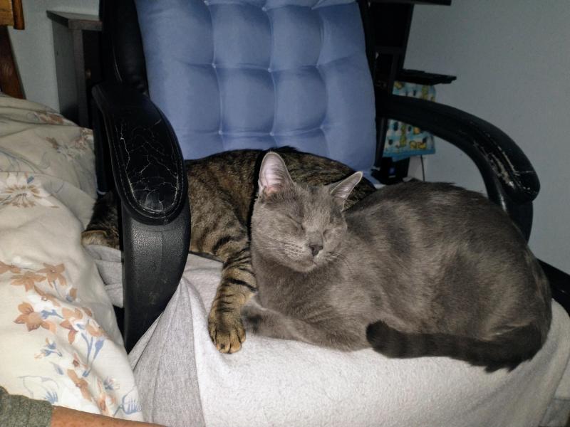 thebugster08 uploaded   1 year/s ago