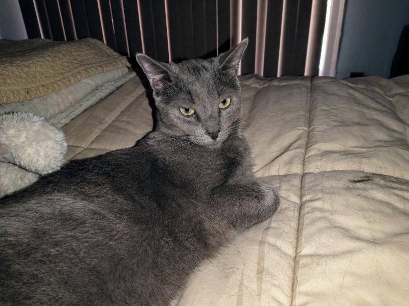 thebugster08 uploaded   1 year/s ago