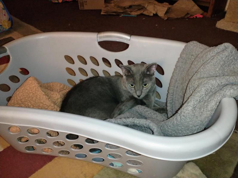 thebugster08 uploaded   1 year/s ago