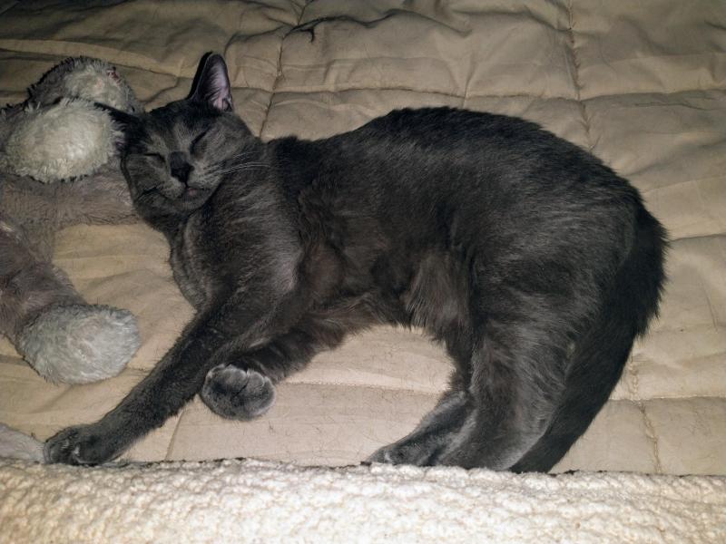 thebugster08 uploaded   1 year/s ago