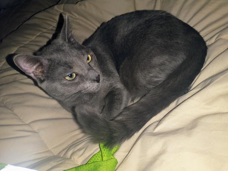 thebugster08 uploaded   1 year/s ago