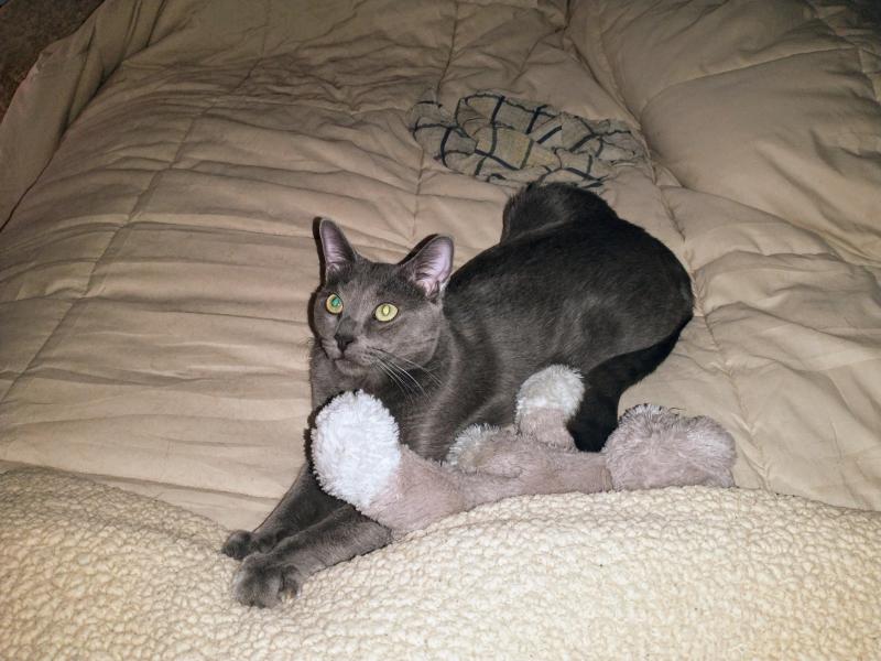 thebugster08 uploaded   1 year/s ago