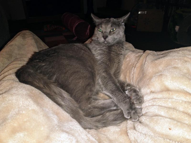 thebugster08 uploaded   351  day/s  ago