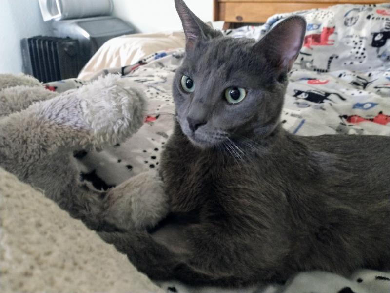 thebugster08 uploaded   316  day/s  ago