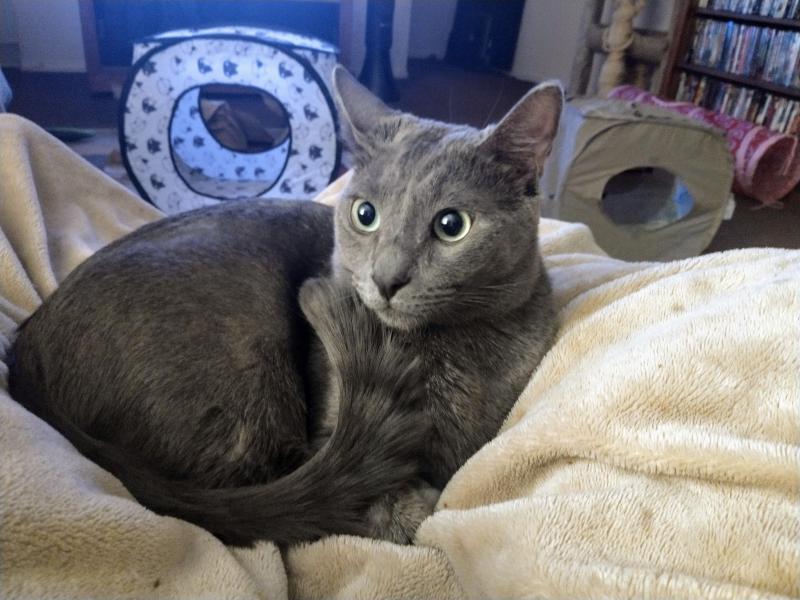 thebugster08 uploaded   316  day/s  ago