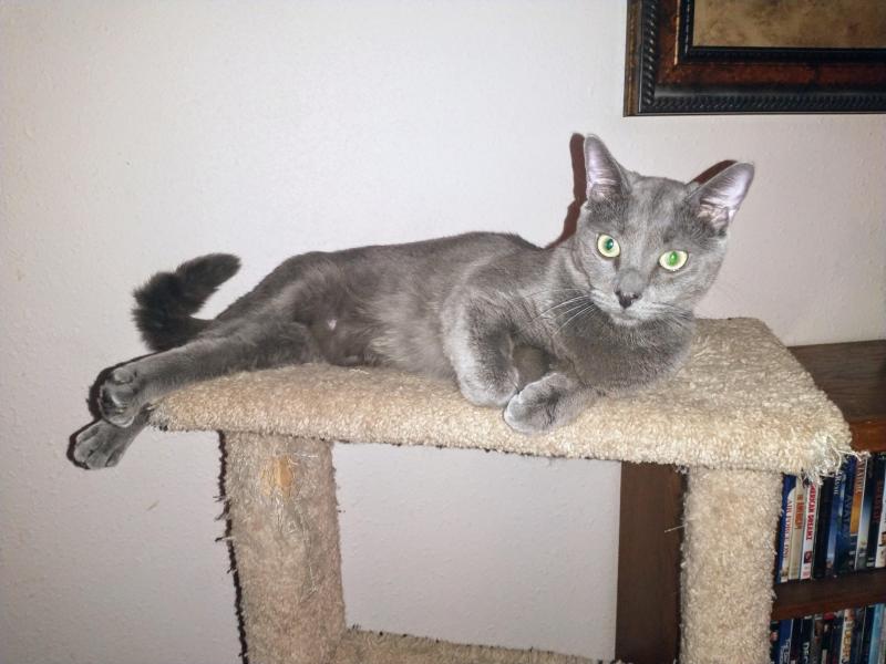 thebugster08 uploaded   280  day/s  ago