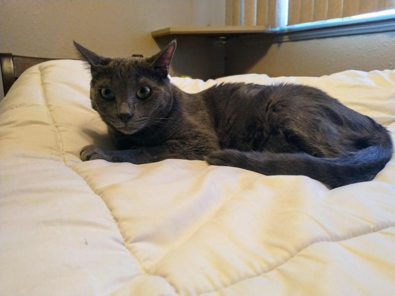 thebugster08 uploaded   294  day/s  ago