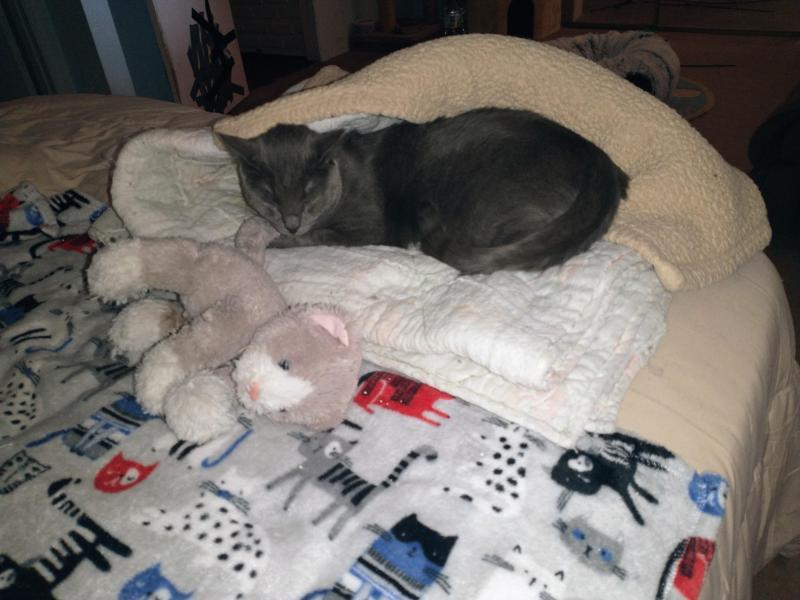 thebugster08 uploaded   214  day/s  ago