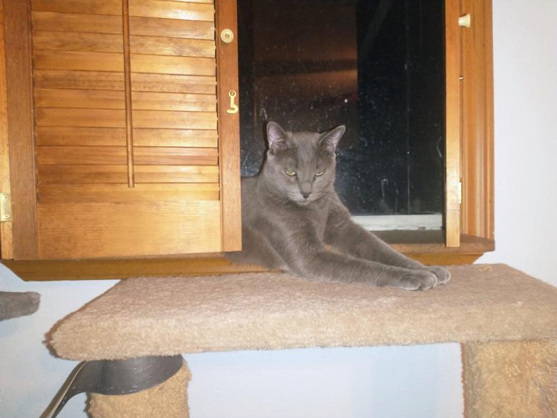 thebugster08 uploaded   207  day/s  ago