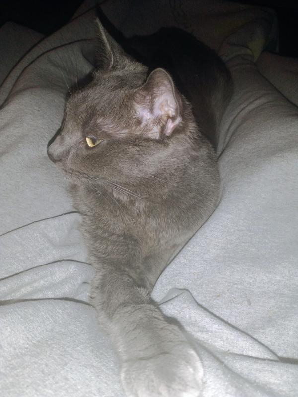 thebugster08 uploaded   13  day/s  ago