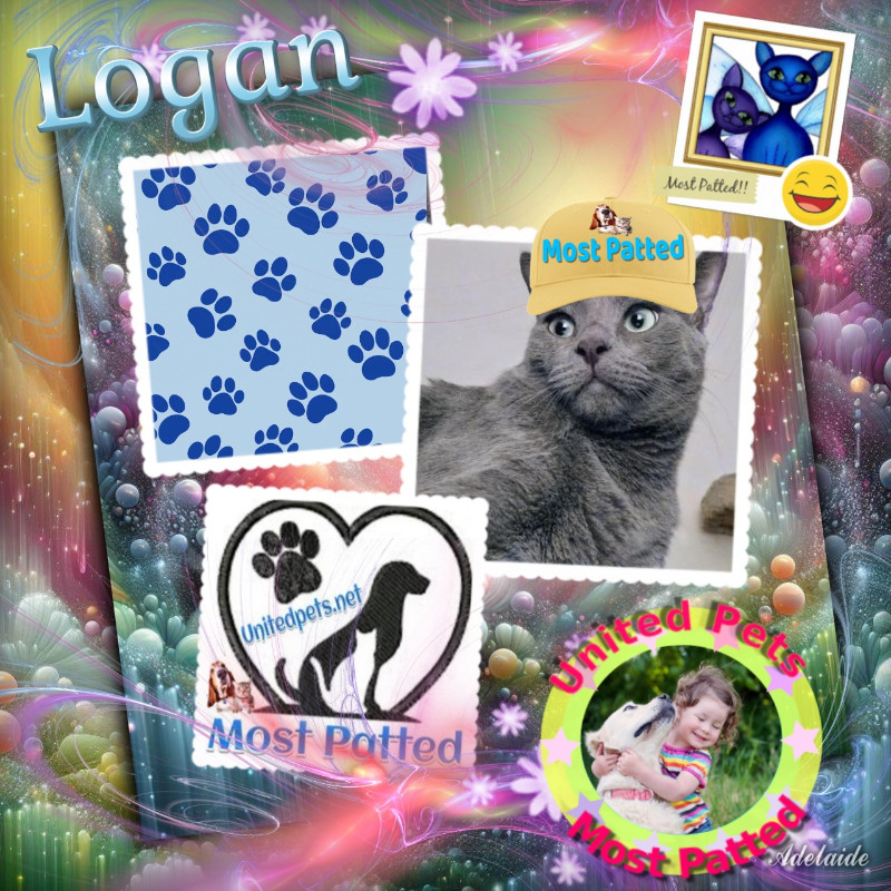 Logan of the thebugster08 family